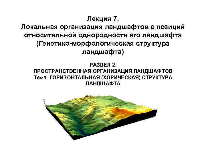 Лекция 7. Локальная организация ландшафтов с позиций относительной однородности его ландшафта (Генетико-морфологическая структура ландшафта)