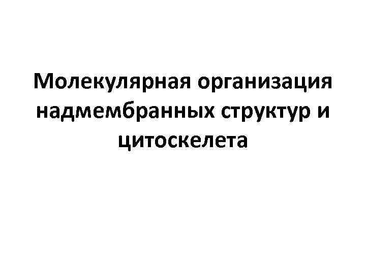 Молекулярная организация надмембранных структур и цитоскелета 