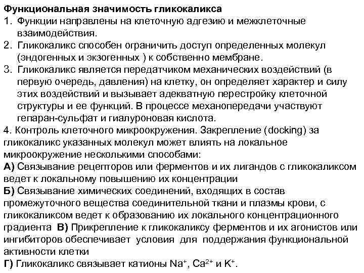Функциональная значимость гликокаликса 1. Функции направлены на клеточную адгезию и межклеточные взаимодействия. 2. Гликокаликс