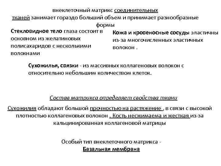 внеклеточный матрикс соединительных тканей занимает гораздо больший объем и принимает разнообразные формы Стекловидное тело