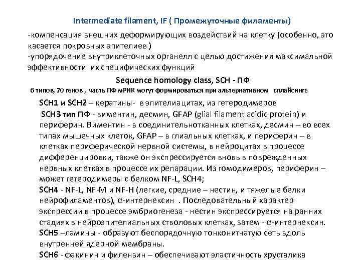 Intermediate filament, IF ( Промежуточные филаменты) -компенсация внешних деформирующих воздействий на клетку (особенно, это