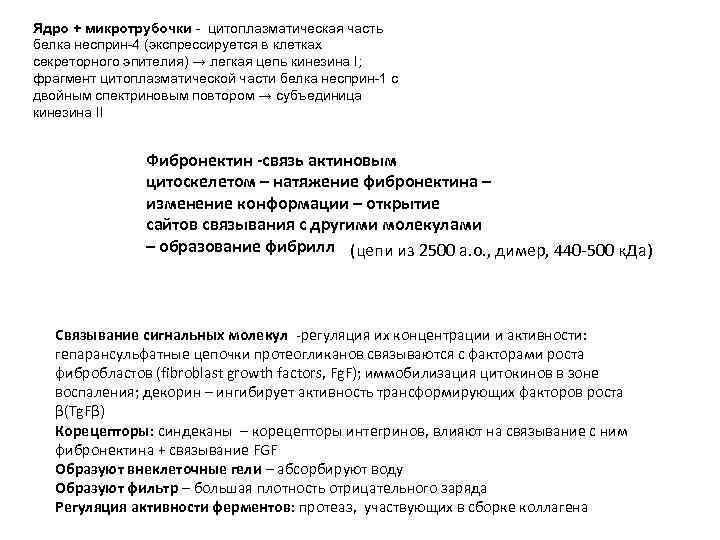 Ядро + микротрубочки - цитоплазматическая часть белка несприн-4 (экспрессируется в клетках секреторного эпителия) →
