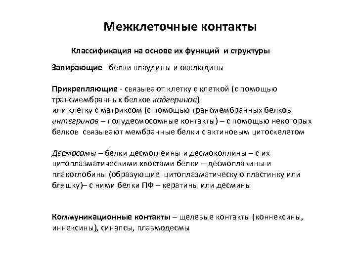 Межклеточные контакты Классификация на основе их функций и структуры Запирающие– белки клаудины и окклюдины