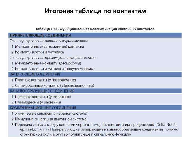 Итоговая таблица по контактам 