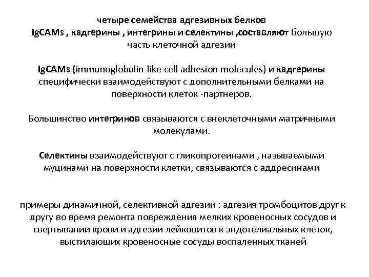 четыре семейства адгезивных белков Ig. CAMs , кадгерины , интегрины и селектины , составляют