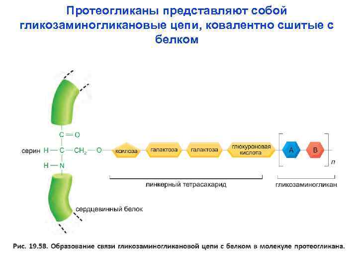 Схема образования креатинина