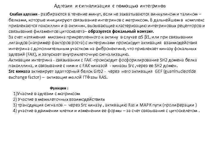 Адгезия и сигнализация с помощью интегринов Слабая адгезия - разбираются в течение минут, если