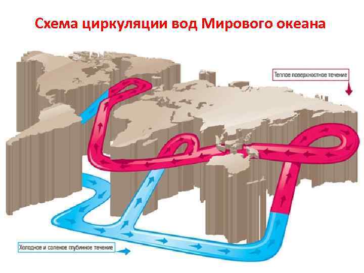 Схема циркуляции вод Мирового океана 