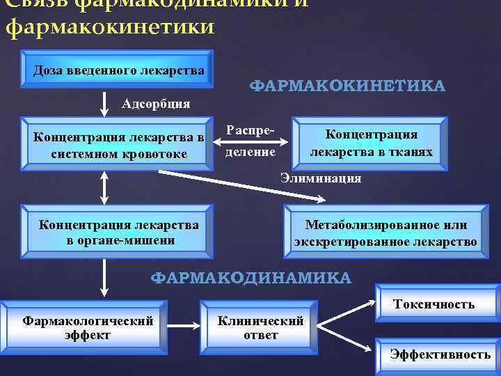 Связь фармакодинамики и фармакокинетики Доза введенного лекарства Адсорбция Концентрация лекарства в системном кровотоке ФАРМАКОКИНЕТИКА