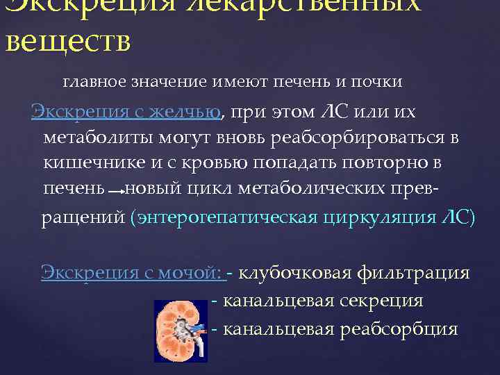 Экскреция лекарственных веществ главное значение имеют печень и почки Экскреция с желчью, при этом