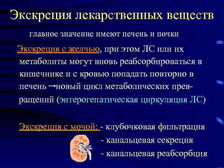 Экскреция лекарственных веществ главное значение имеют печень и почки Экскреция с желчью, при этом