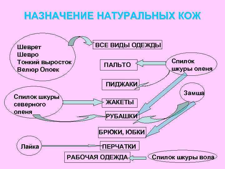 НАЗНАЧЕНИЕ НАТУРАЛЬНЫХ КОЖ Шеврет Шевро Тонкий выросток Велюр Опоек ВСЕ ВИДЫ ОДЕЖДЫ ПАЛЬТО Спилок