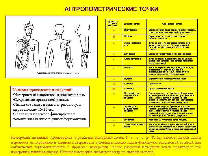 АНТРОПОМЕТРИЧЕСКИЕ ТОЧКИ Условное обозначе ние точки Название точки Определение точки а Высшая точка темени