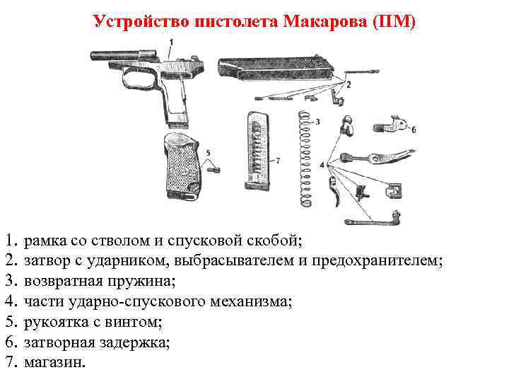 Устройство пистолета Макарова (ПМ) 1. 2. 3. 4. 5. 6. 7. рамка со стволом