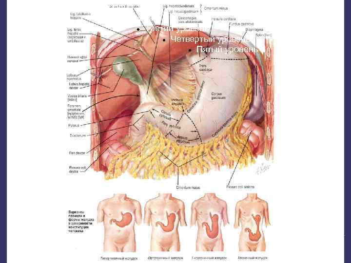 Образец текста Второй уровень Третий уровень Четвертый уровень Пятый уровень 