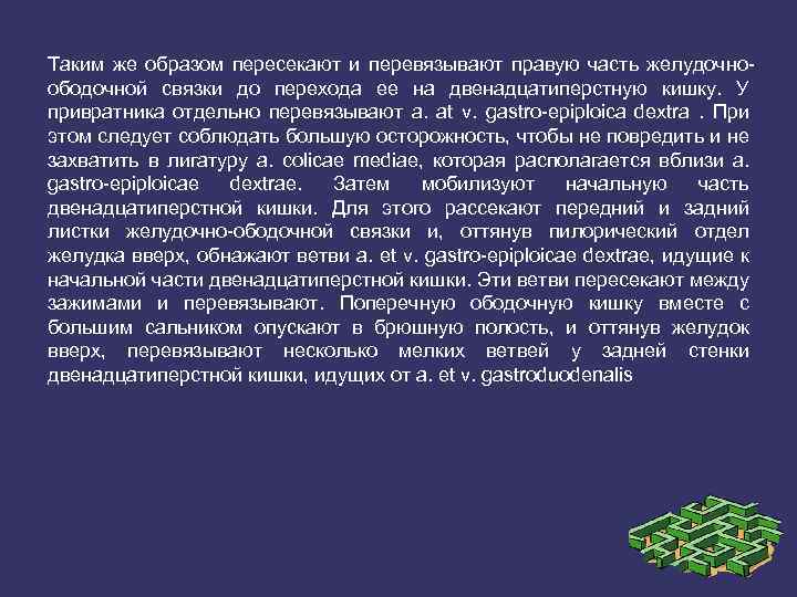 Таким же образом пересекают и перевязывают правую часть желудочно ободочной связки до перехода ее