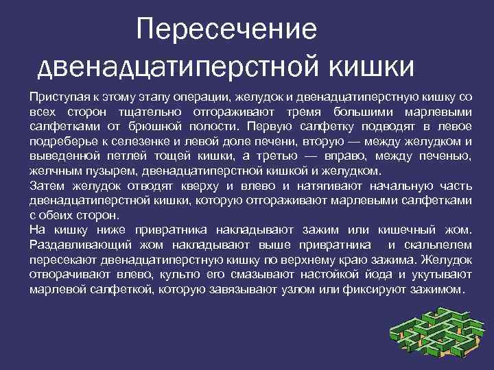 Пересечение двенадцатиперстной кишки Приступая к этому этапу операции, желудок и двенадцатиперстную кишку со всех