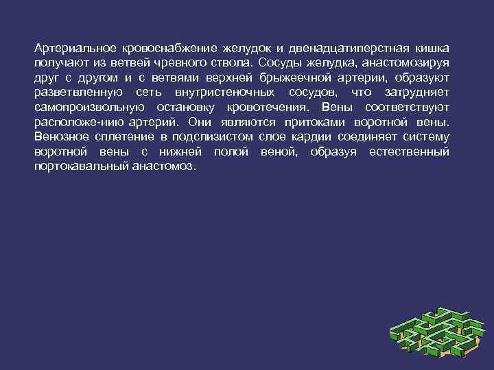 Артериальное кровоснабжение желудок и двенадцатиперстная кишка получают из ветвей чревного ствола. Сосуды желудка, анастомозируя