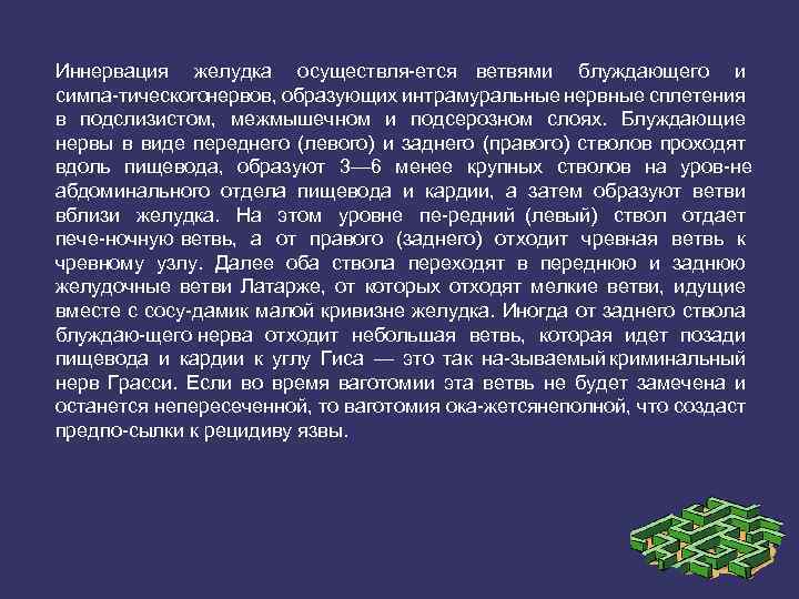 Иннервация желудка осуществля ется ветвями блуждающего и симпа тическогонервов, образующих интрамуральные нервные сплетения в