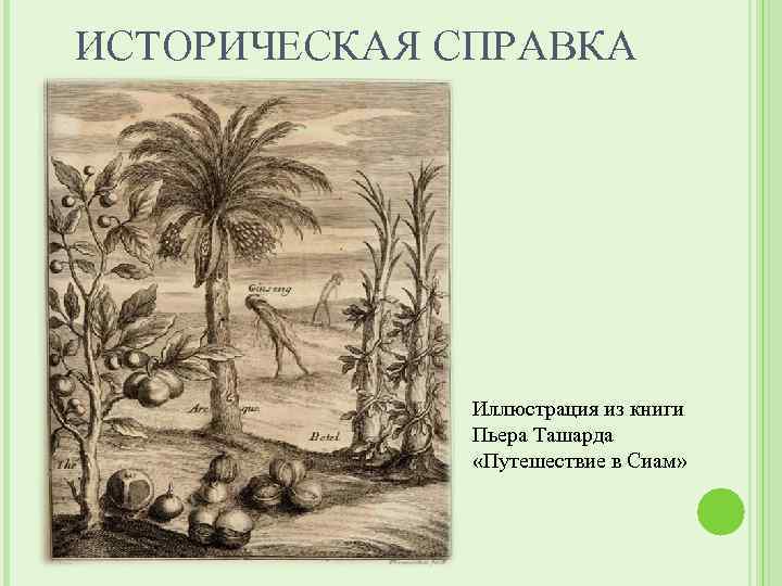 ИСТОРИЧЕСКАЯ СПРАВКА Иллюстрация из книги Пьера Ташарда «Путешествие в Сиам» 