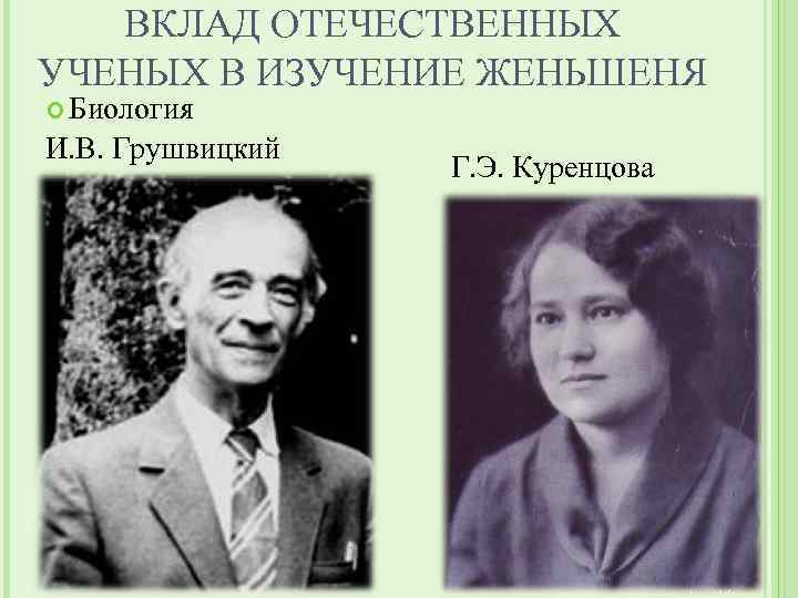 ВКЛАД ОТЕЧЕСТВЕННЫХ УЧЕНЫХ В ИЗУЧЕНИЕ ЖЕНЬШЕНЯ Биология И. В. Грушвицкий Г. Э. Куренцова 