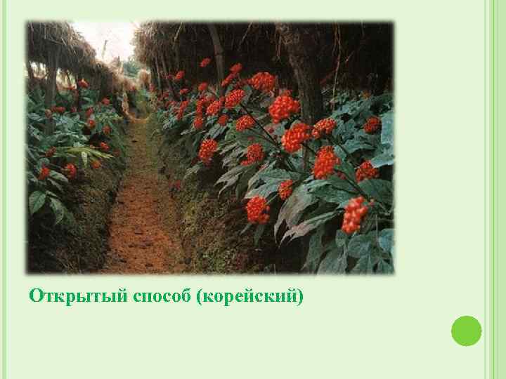 Открытый способ (корейский) 