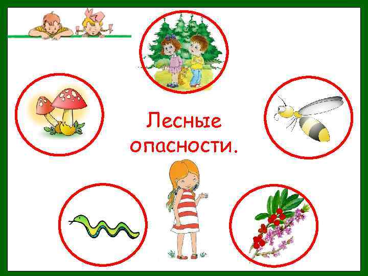 Лесные опасности. 