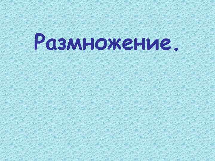 Размножение. 