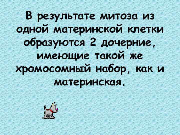 В результате митоза из одной материнской клетки образуются 2 дочерние, имеющие такой же хромосомный