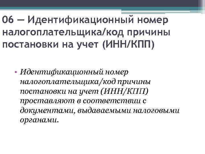 06 — Идентификационный номер налогоплательщика/код причины постановки на учет (ИНН/КПП) • Идентификационный номер налогоплательщика/код