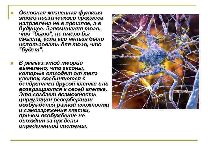 n Основная жизненная функция этого психического процесса направлена не в прошлое, а в будущее.