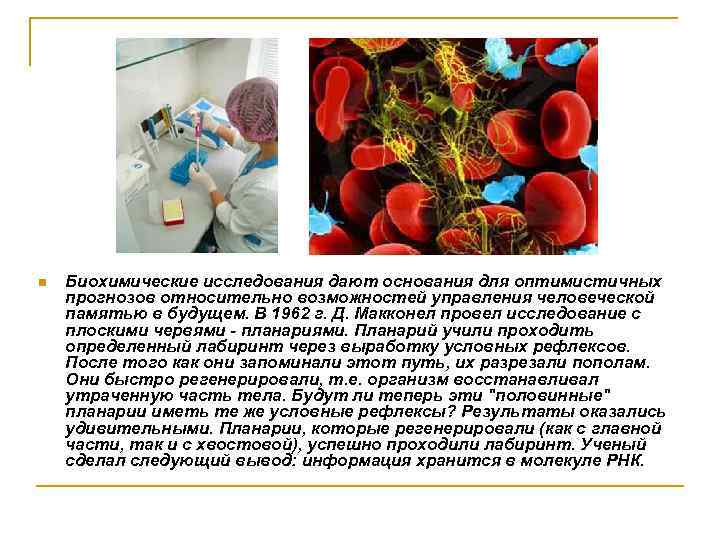 n Биохимические исследования дают основания для оптимистичных прогнозов относительно возможностей управления человеческой памятью в