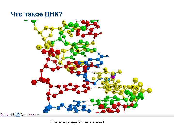Что такое ДНК? Схема переходной схемотехники! 