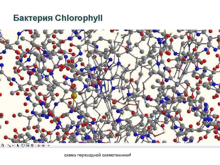 Бактерия Chlorophyll схема переходной схемотехники! 