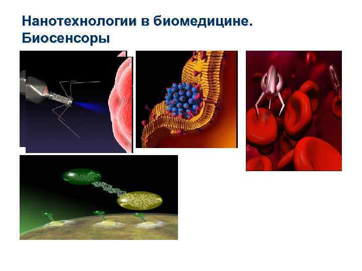 Нанотехнологии в биомедицине. Биосенсоры 