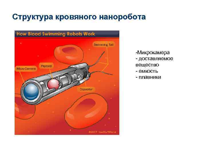 Структура кровяного наноробота -Микрокамера - доставляемое вещество - емкость - плавники 
