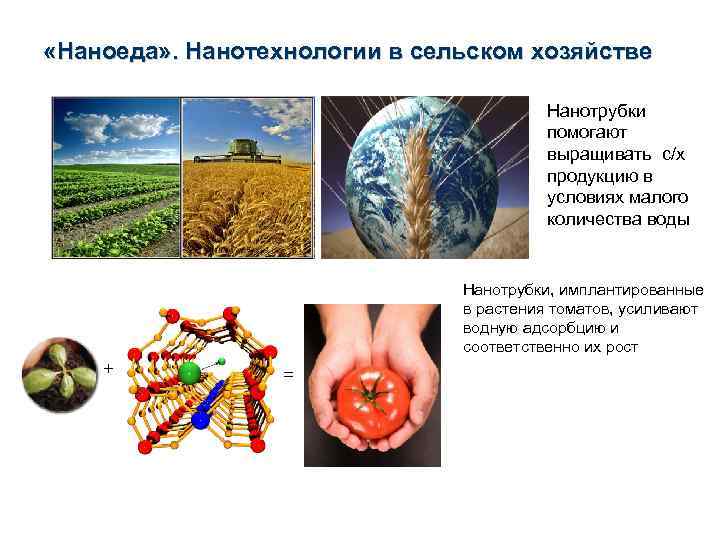  «Наноеда» . Нанотехнологии в сельском хозяйстве Нанотрубки помогают выращивать с/х продукцию в условиях