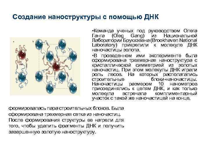 Создание наноструктуры с помощью ДНК • Команда ученых под руководством Олега Ганга (Oleg Gang)
