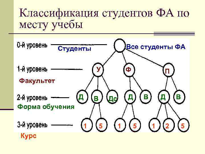 Классификация студентов ФА по месту учебы Все студенты ФА Студенты У Ф П Факультет
