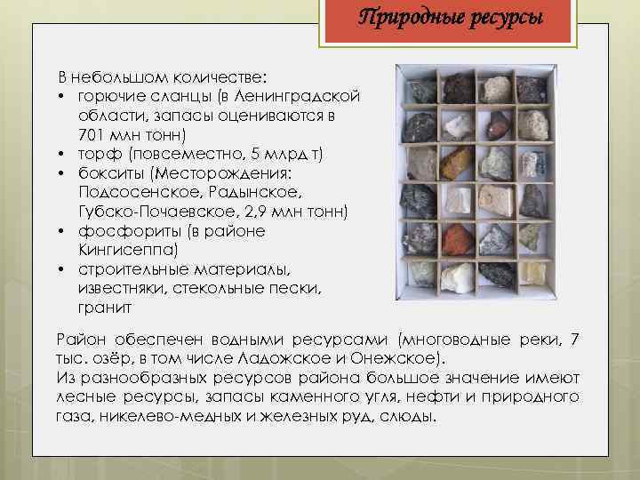 Природные ресурсы В небольшом количестве: • горючие сланцы (в Ленинградской области, запасы оцениваются в