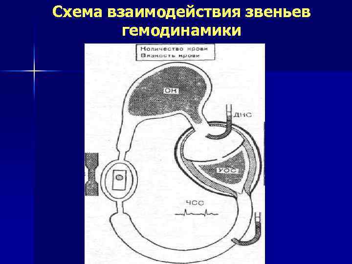 Схема взаимодействия звеньев гемодинамики 