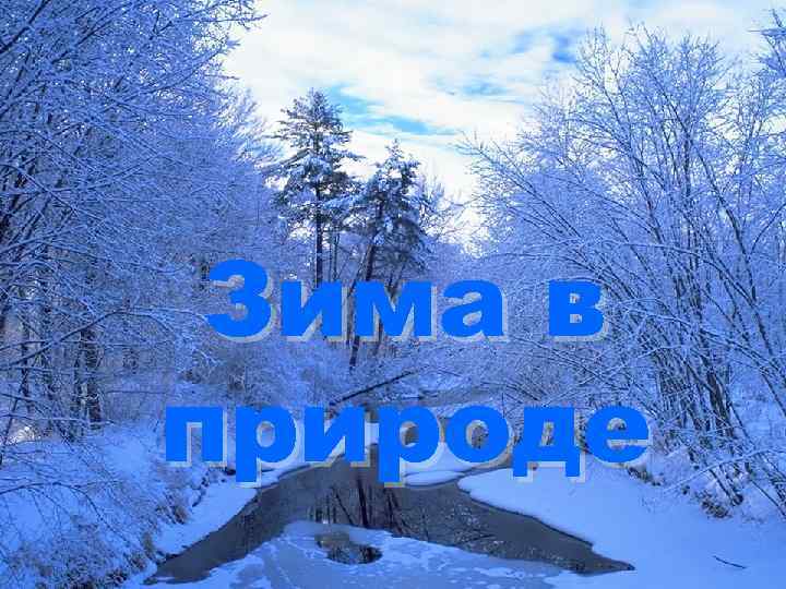 Зима в природе 