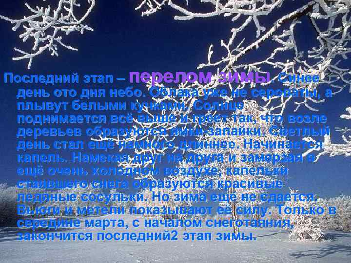 Последний этап – перелом зимы. Синее день ото дня небо. Облака уже не сероваты,