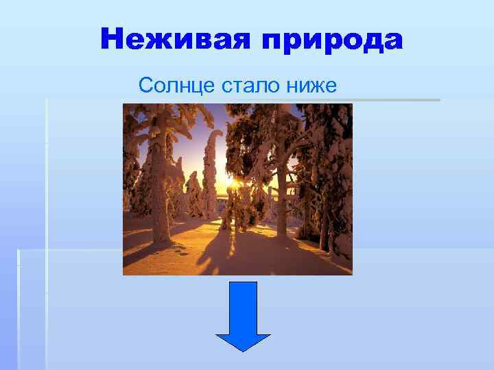Неживая природа Солнце стало ниже 