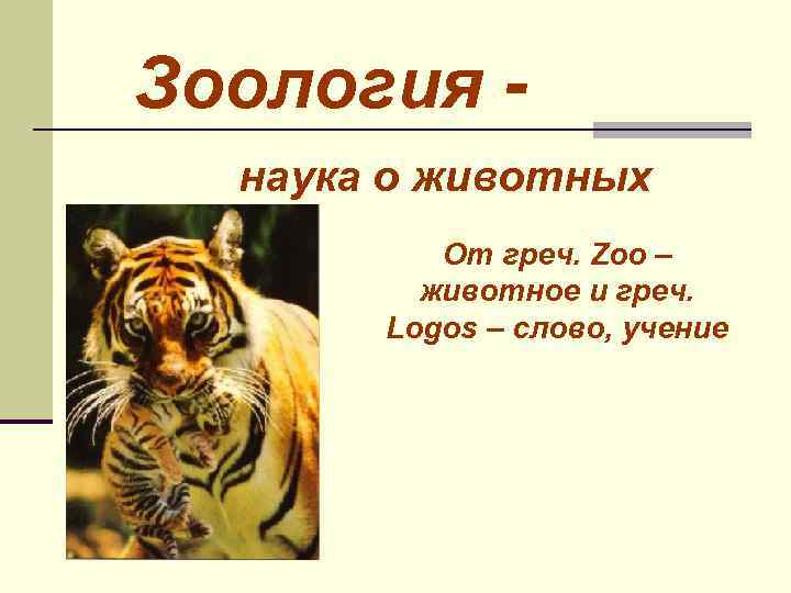 Зоология наука о животных От греч. Zoo – животное и греч. Logos – слово,