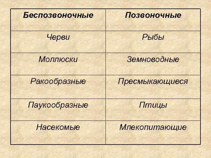 Беспозвоночные Позвоночные Черви Рыбы Моллюски Земноводные Ракообразные Пресмыкающиеся Паукообразные Птицы Насекомые Млекопитающие 