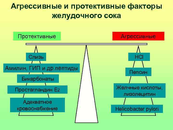 Агрессивные и протективные факторы желудочного сока Протективные Агрессивные Слизь HCl Амилин, ГИП и др.