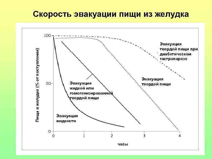 Пища в желудке (% от поступления) Скорость эвакуации пищи из желудка Эвакуация твердой пищи