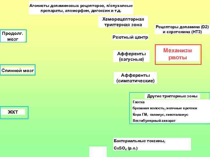 Агонисты допаминовых рецепторов, п/опухолеые препараты, апоморфин, дигоксин и т. д. Хеморецепторная триггерная зона Продолг.