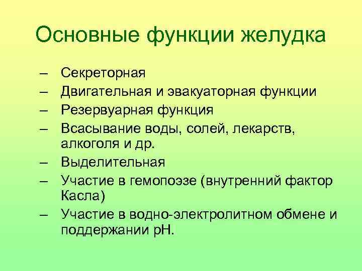 Перечислите функции желудка